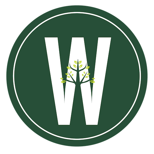 Founded in 2002, Woodlawn is an independent Pre-K - 12 school located 1 mile north of Davidson, NC, offering challenging, project-based academics.